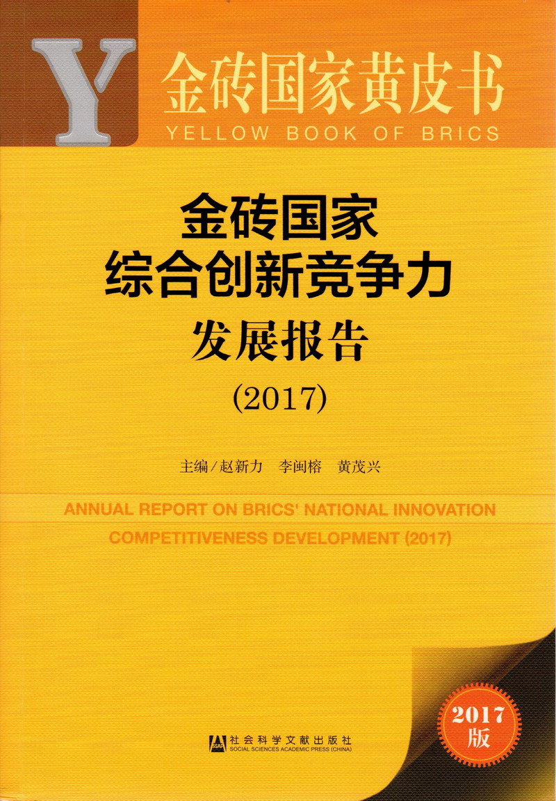 尻逼尻逼免费观看视频网站金砖国家综合创新竞争力发展报告（2017）